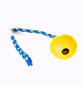 Pet Rope Game